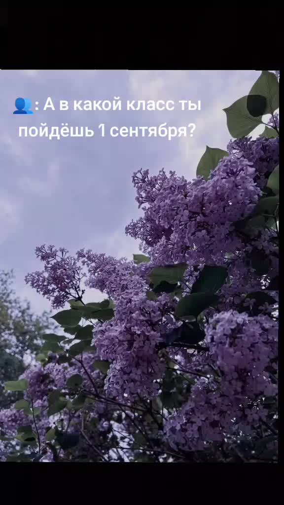 @🧡
