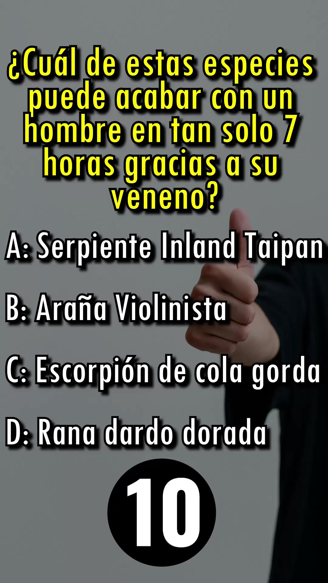 @Leguna Mental Oficial