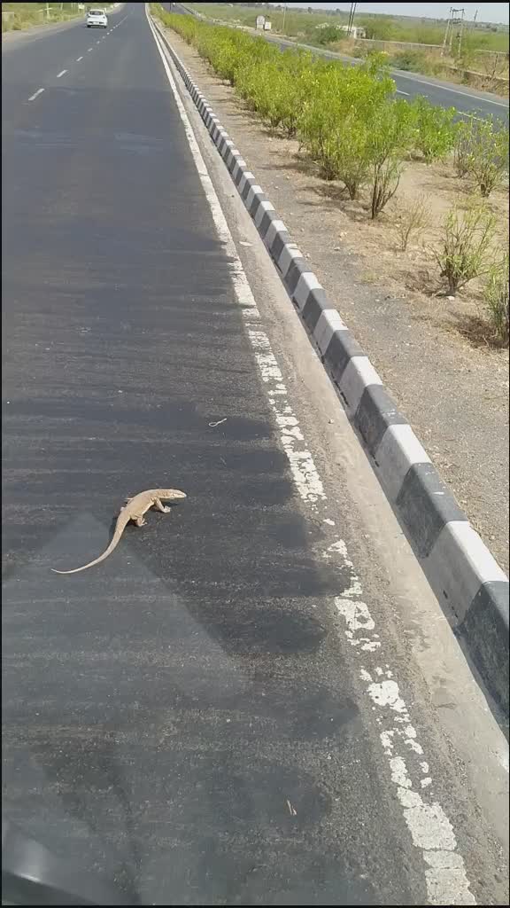 @Bharat Sangolkar