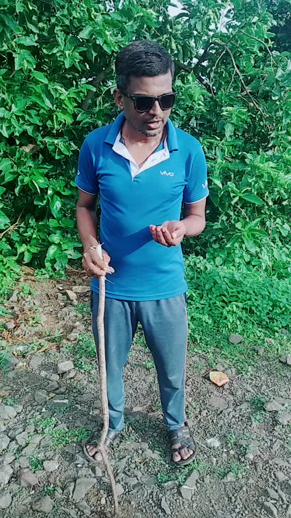 @aadiltoshaikh