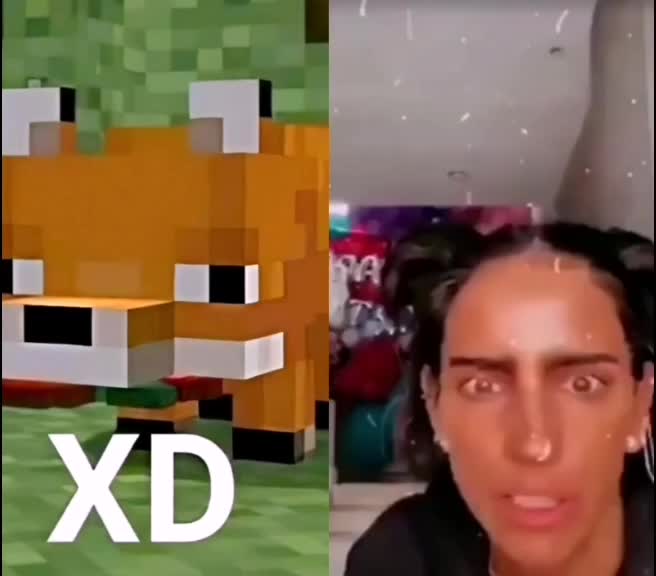 @Zorrito xd 🦊