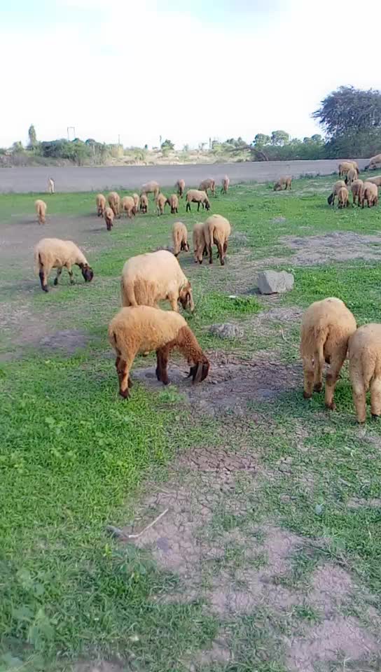 @KAMLESH RABARI