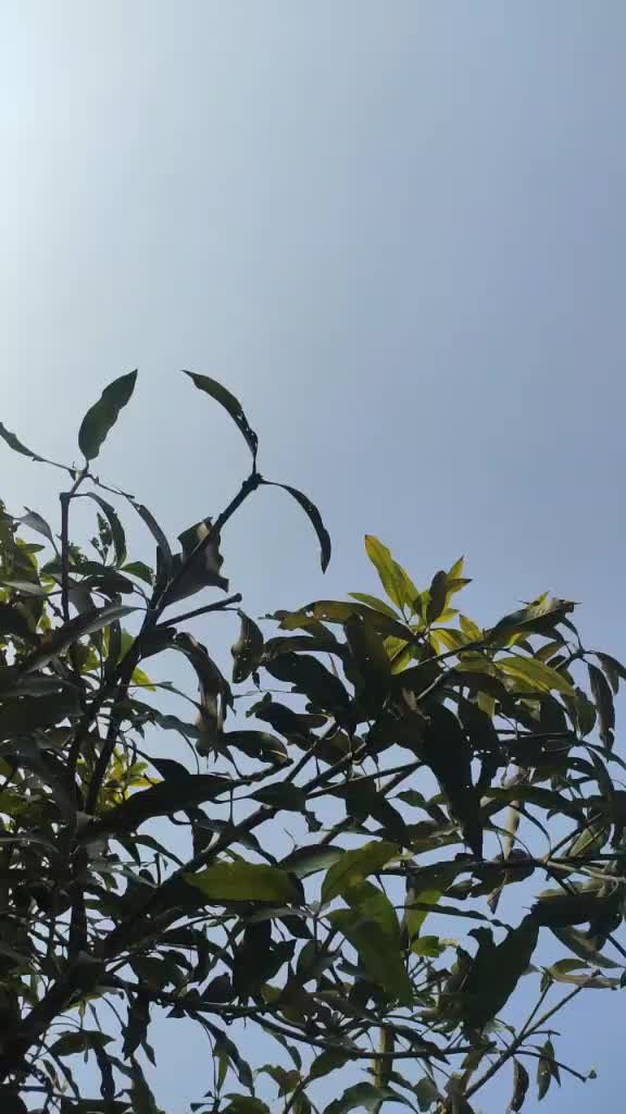 @user43301962962