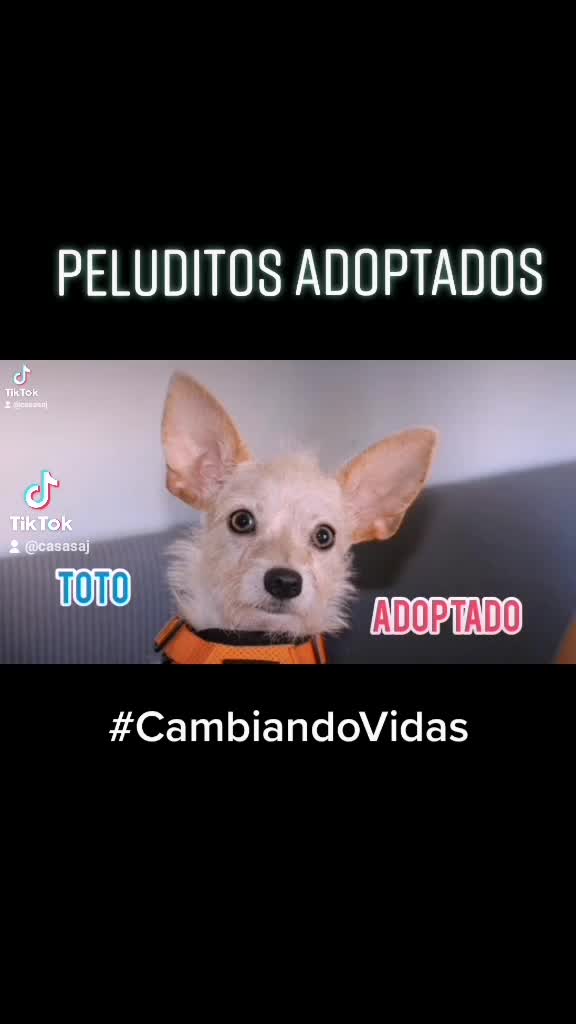 @CasaSAJ