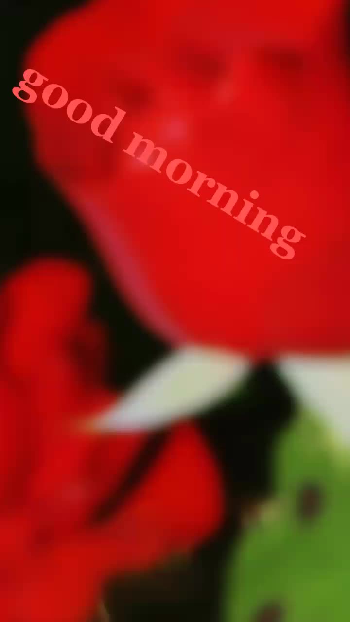 @Tapan kumar dad Adhi