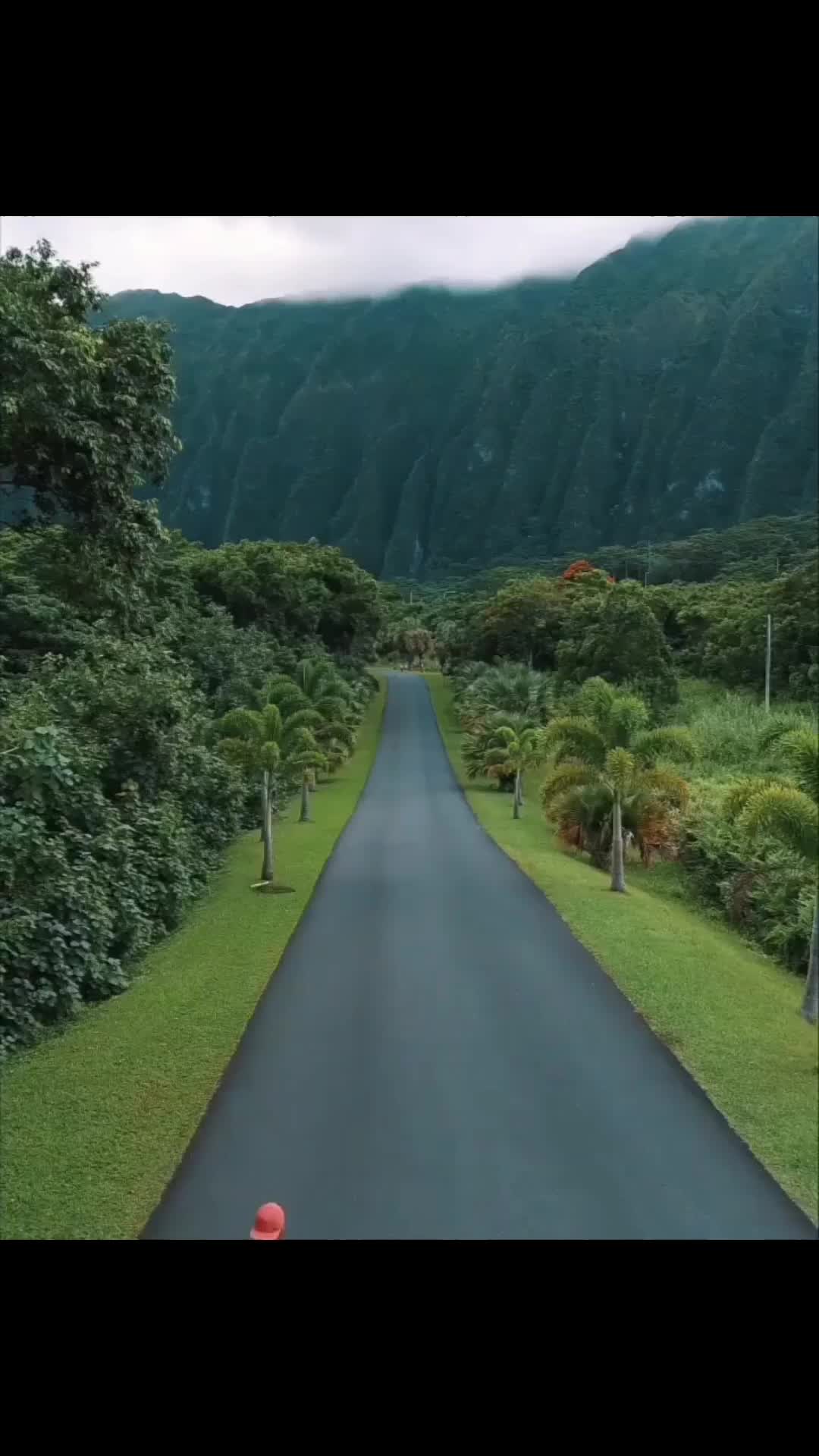 @Sukhpal Sukh