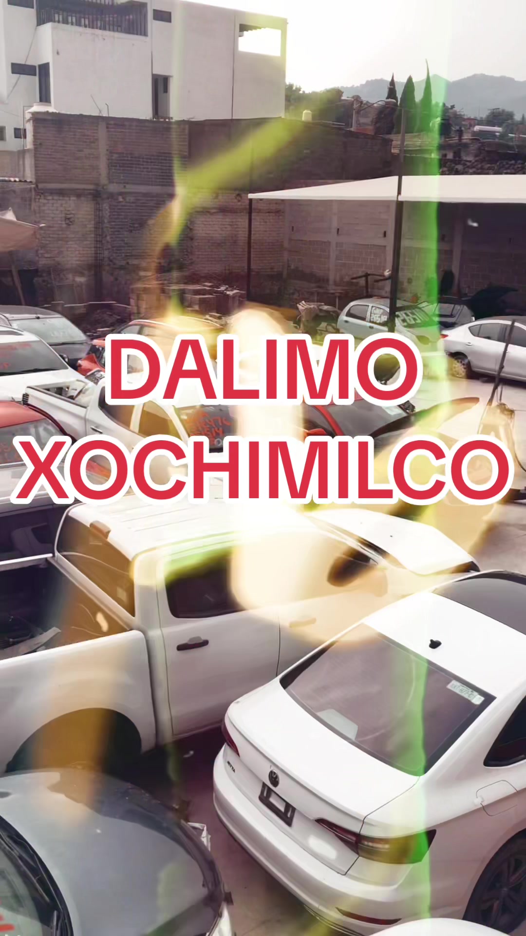 @Dalimo