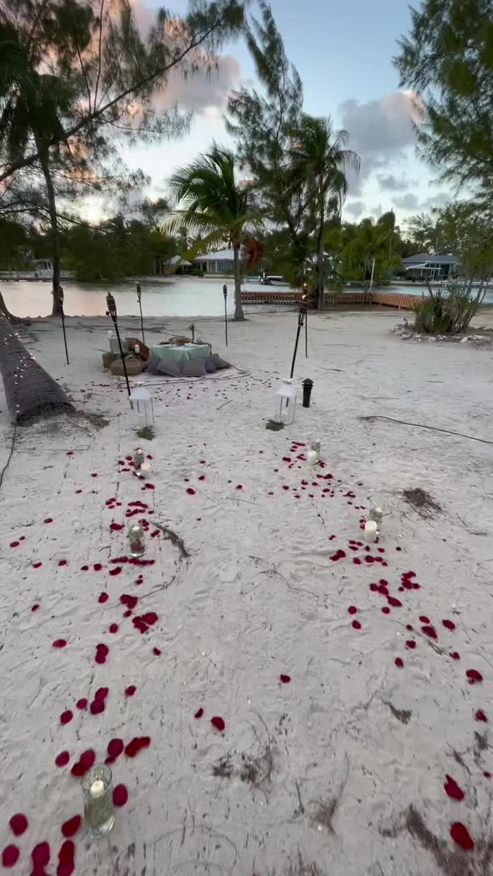 @Graze Girl Cayman