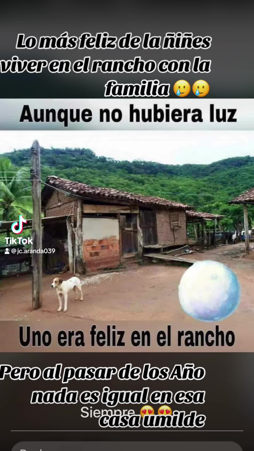 @Elpeluche de Guanajuato