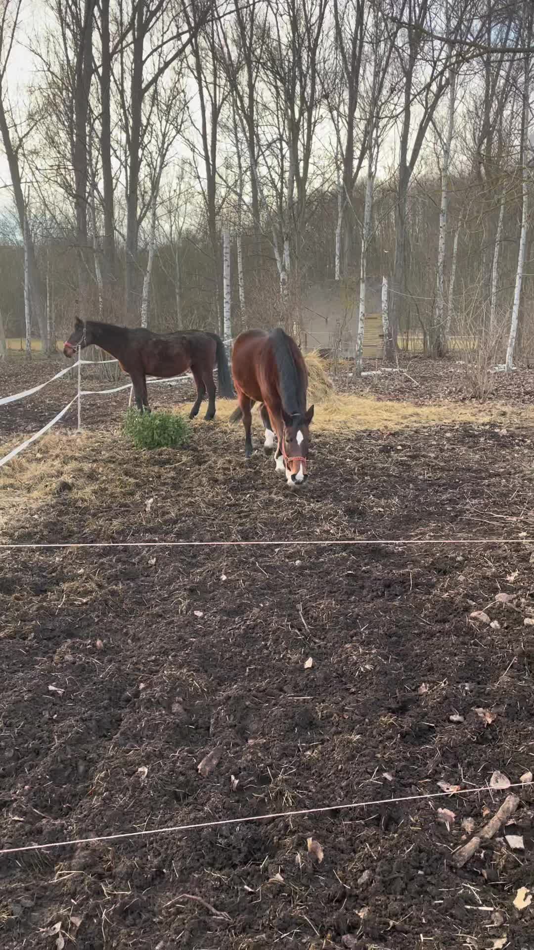 @Sluggi 🕊️🌈🕊️