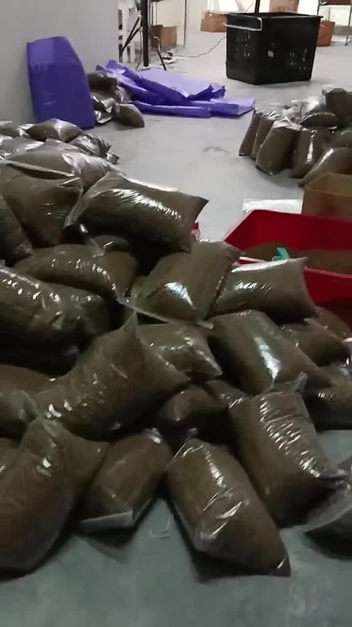 @0ArWXE10