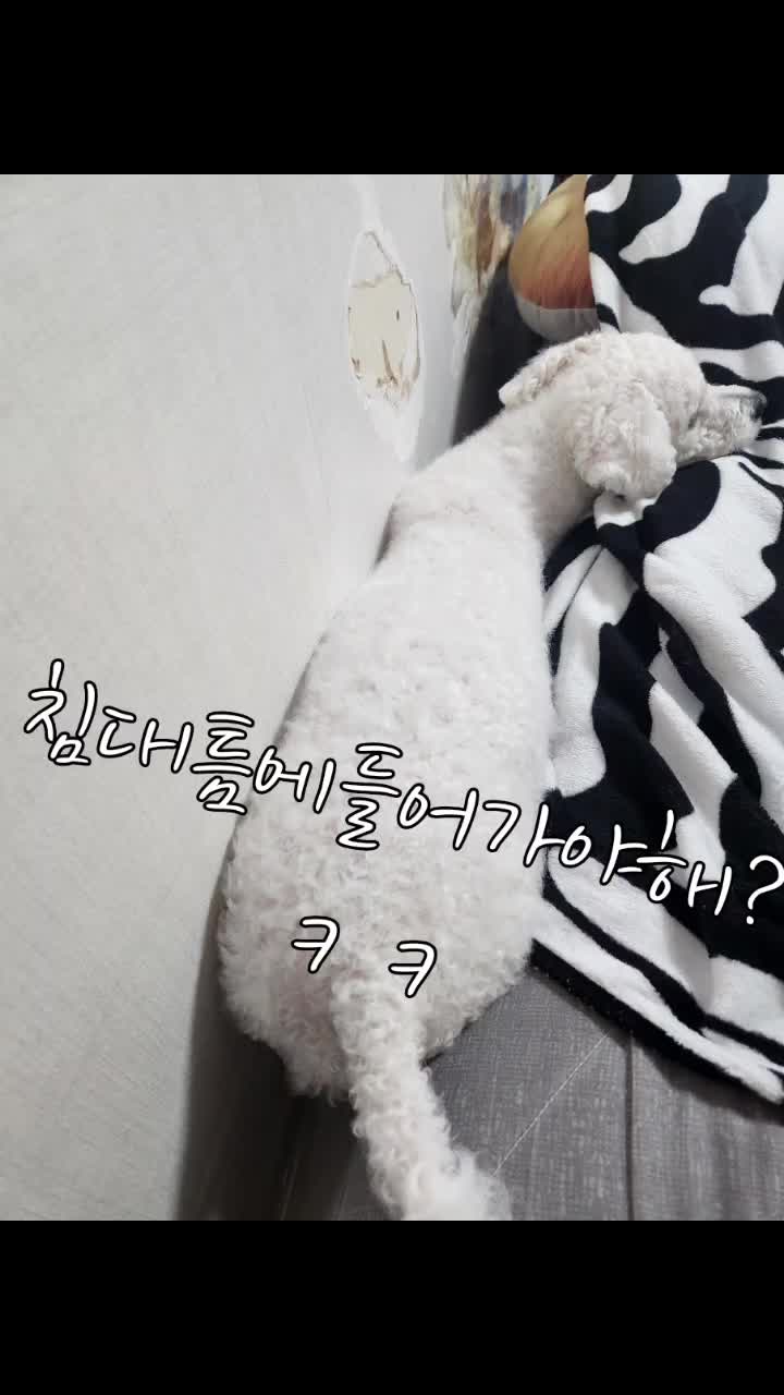 @특별한그녀♡