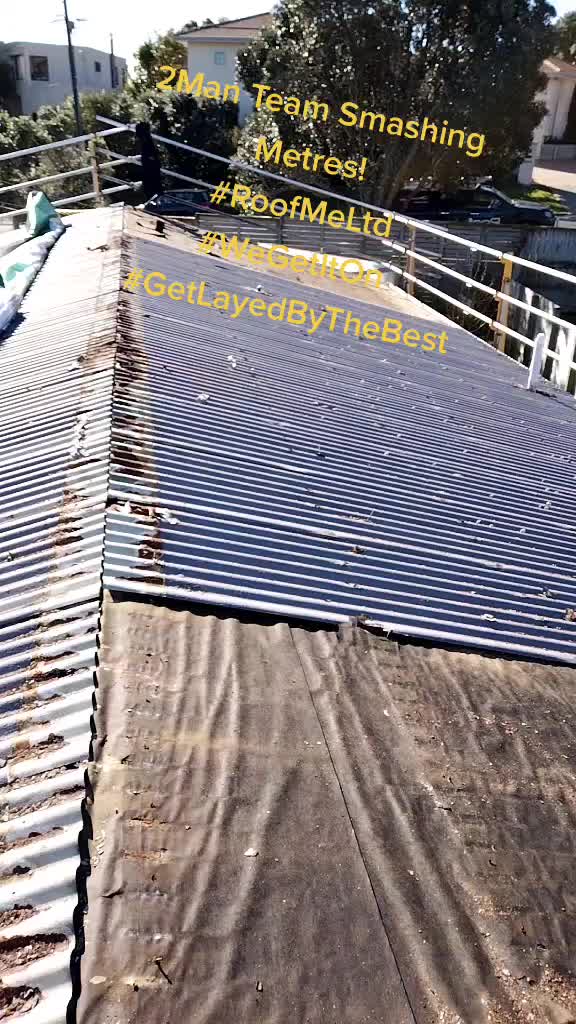 @blakerenata274