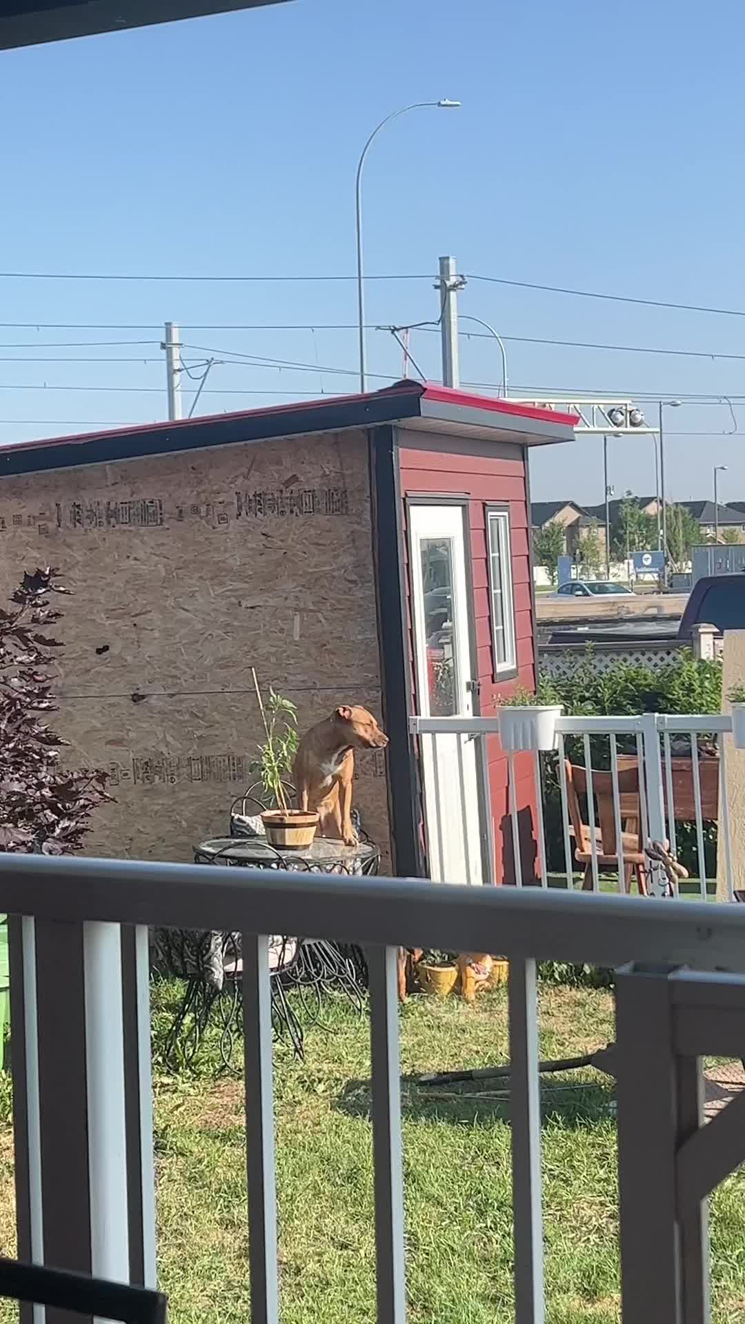 @kW