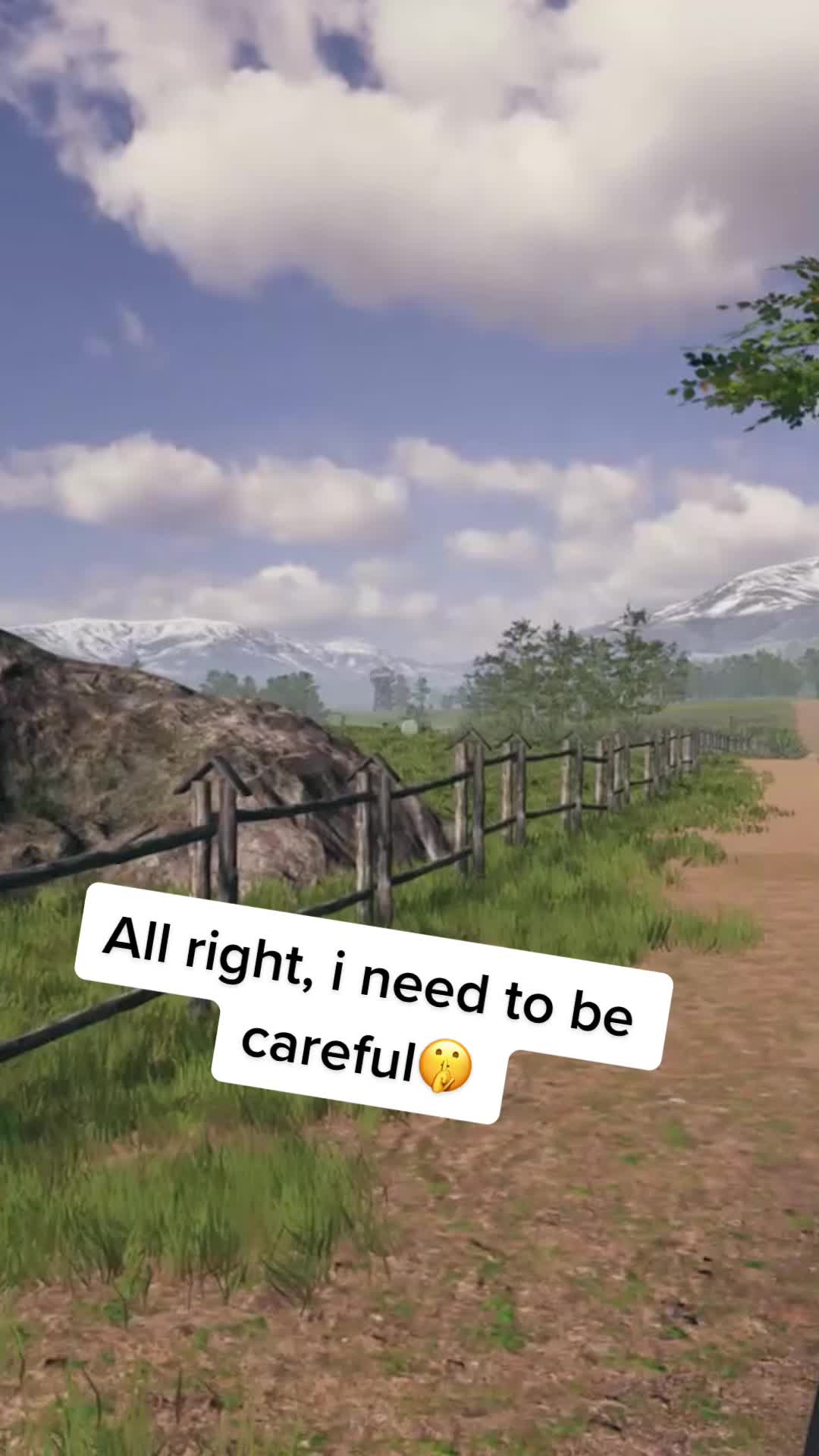 @BirdingSimulator
