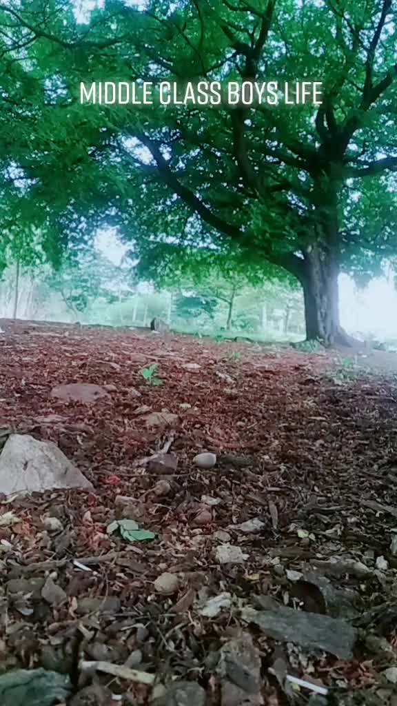 @Kiran Kumar