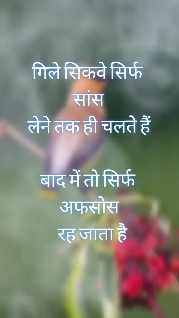 @D KUMAR