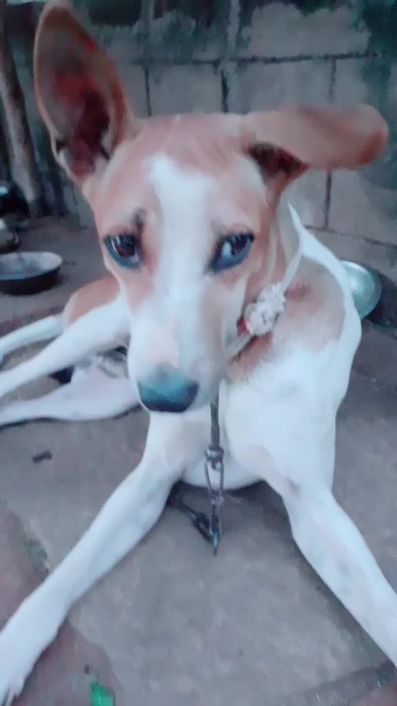 @hariharan68764586285