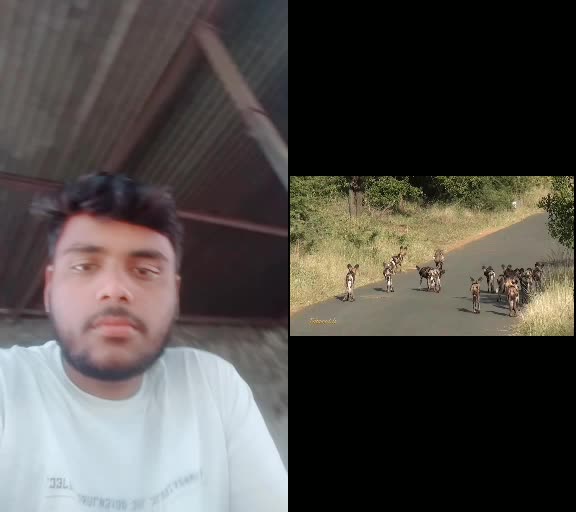 @Ganesh Dhawale GD