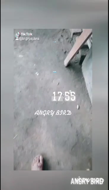 @ⒶⓃⒼⓇⓎ ⒷⒾⓇⒹ