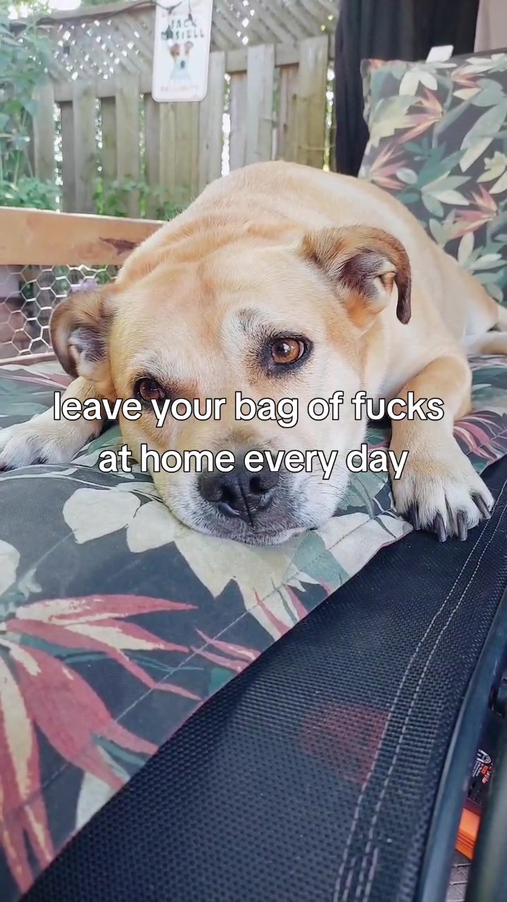 @Thesepupsthough