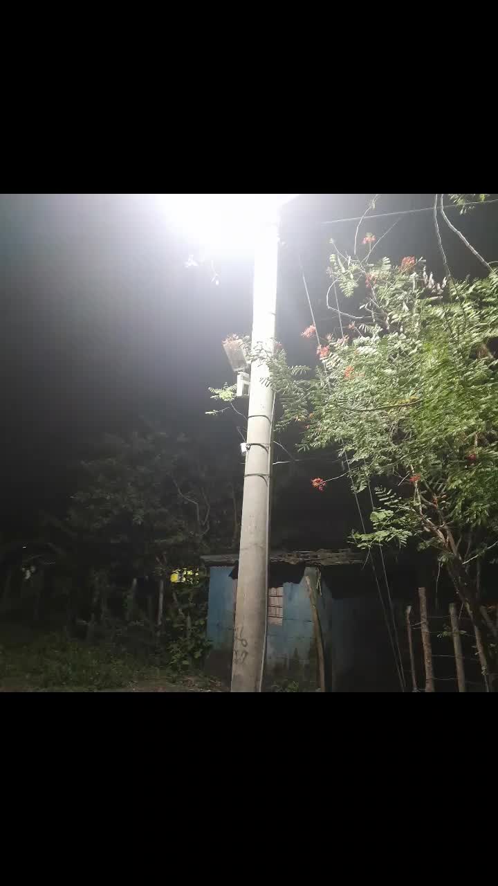 @Adán