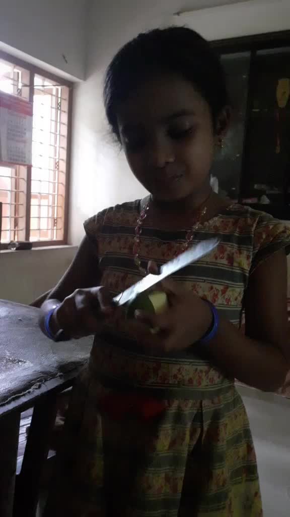 @vaiga. v. anil