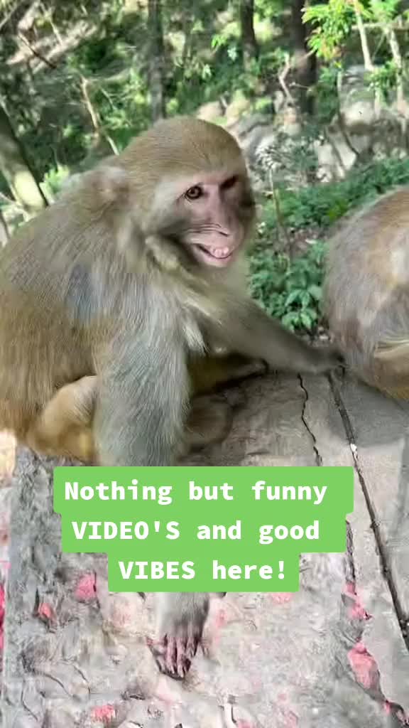 @C00kie D0se