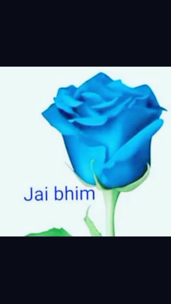 @🙏Jay Bheem 🙏