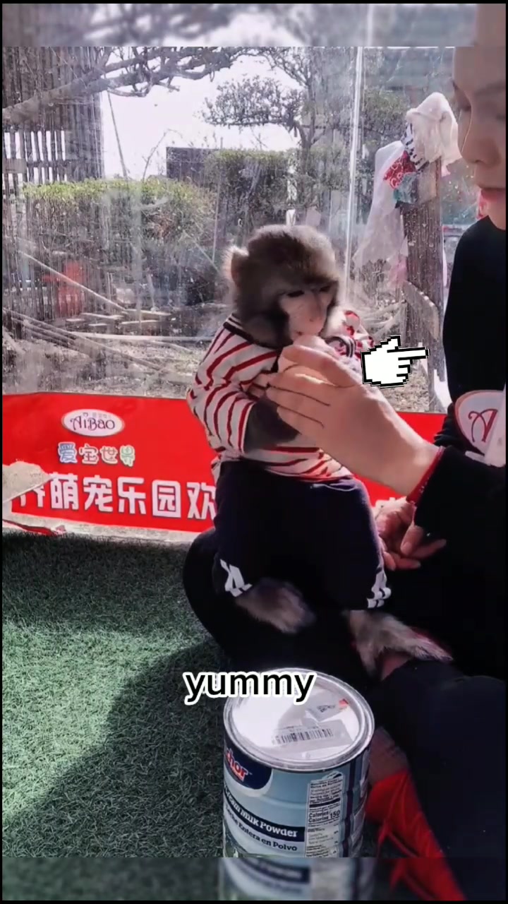 @petlove