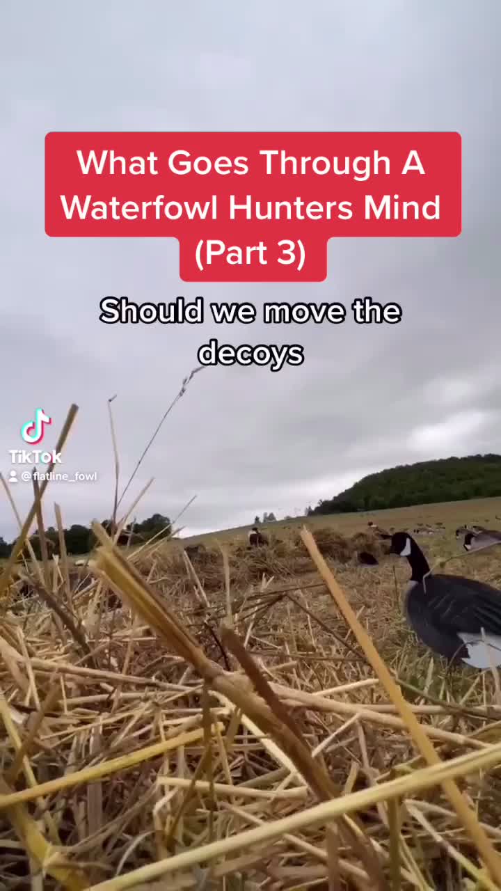 @Flatline Fowl