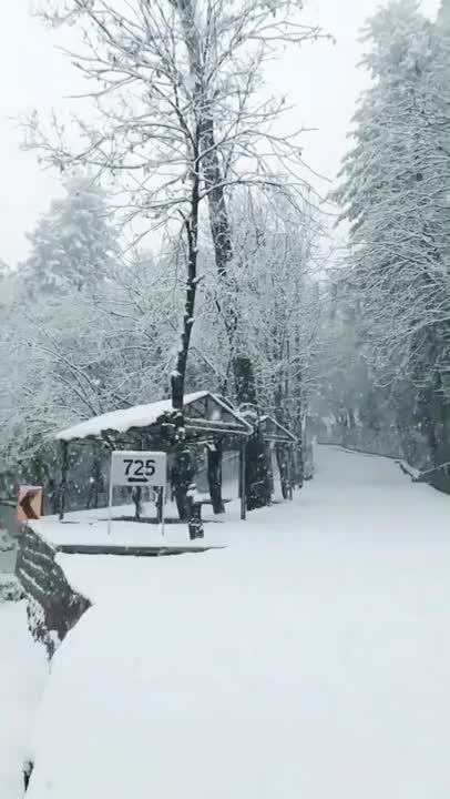 @Aanaya_mahor👑