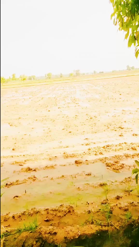 @gaggu.punjabi