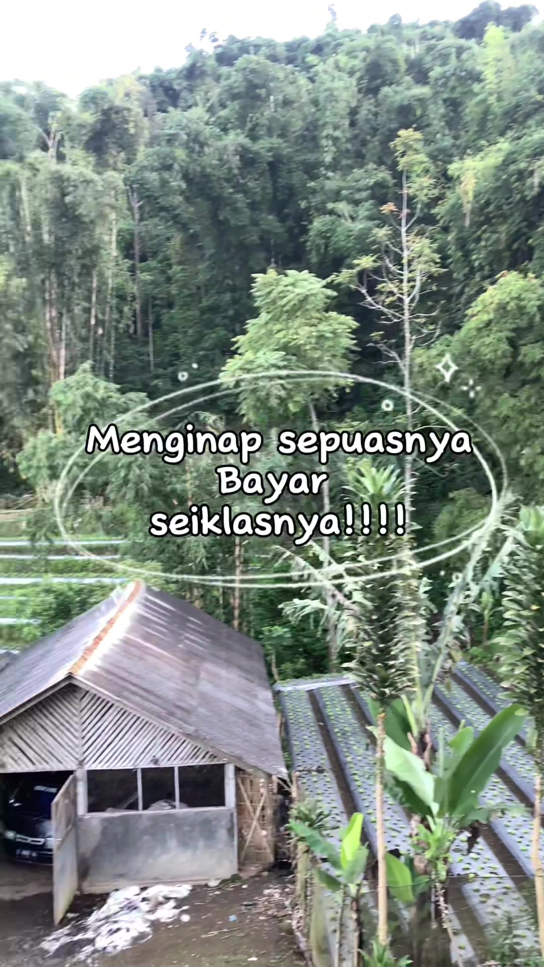 @pendaki jajan