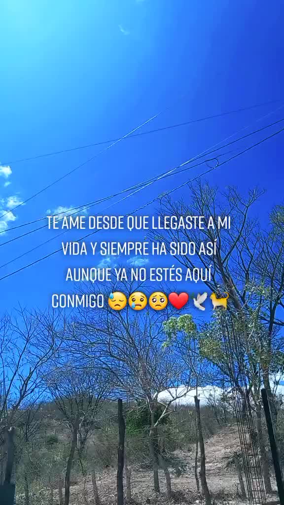 @❤🦋Canchita🦋💜