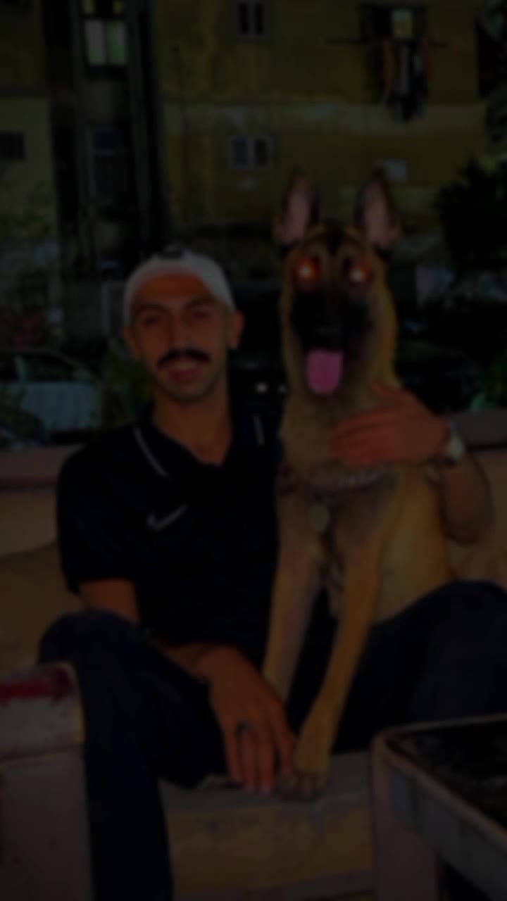 @زياد عبدالله 🐺🦅