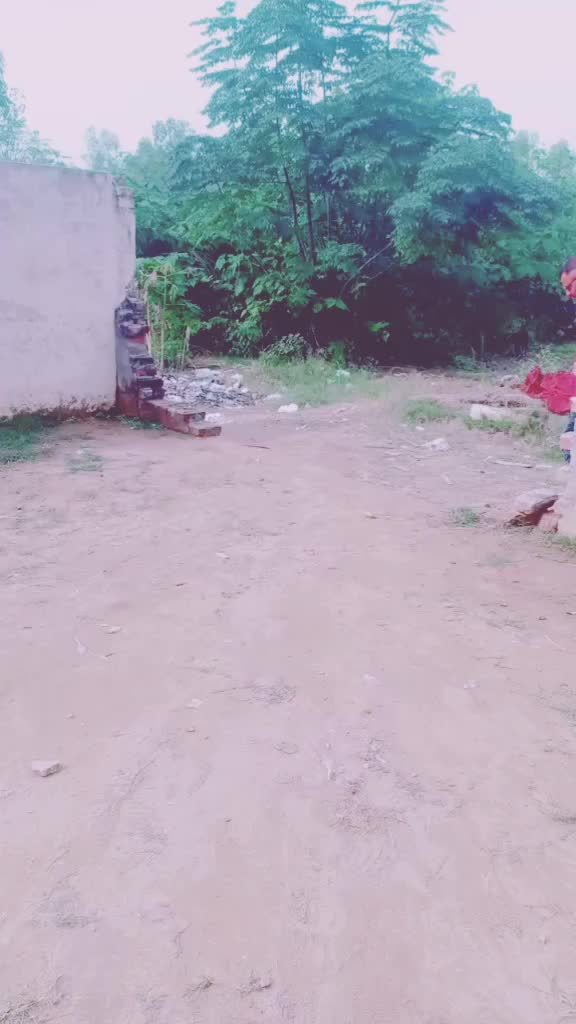 @Ag Saab
