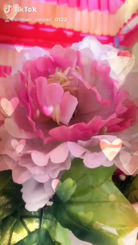 @❤Simranjeet Kaur❤