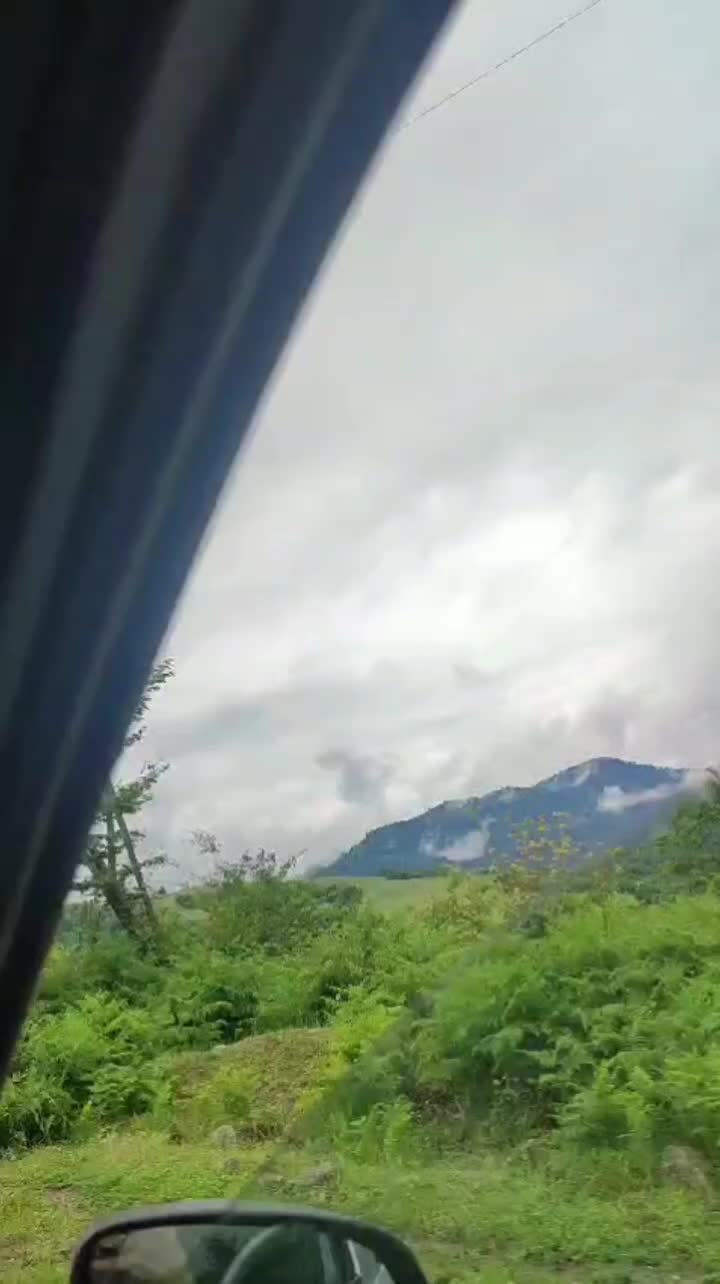 @Talısh🦅