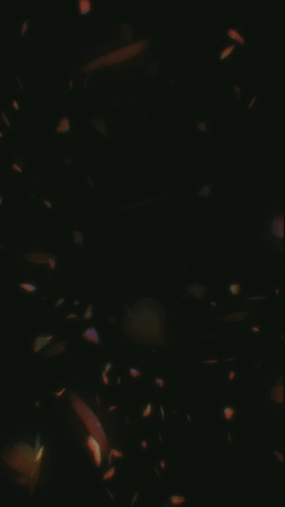 @user8991030505441