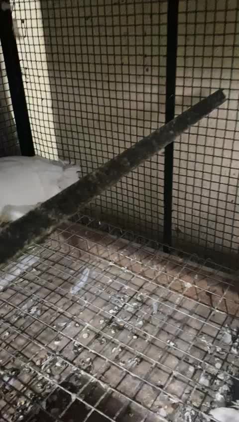 @manya_bhandari_