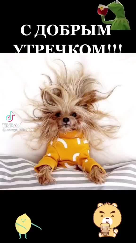 @ярик праздник