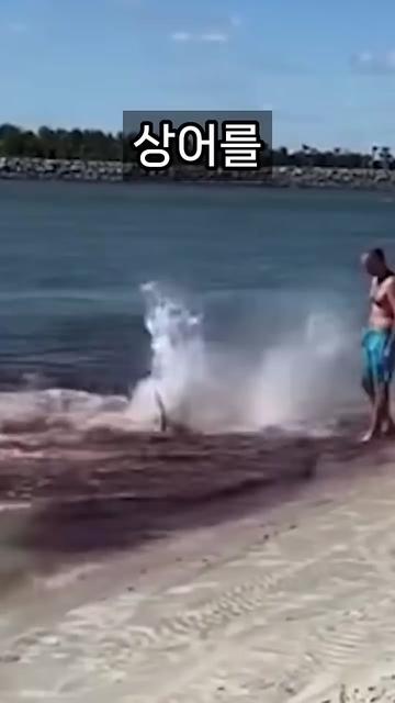 @잼나는 영상