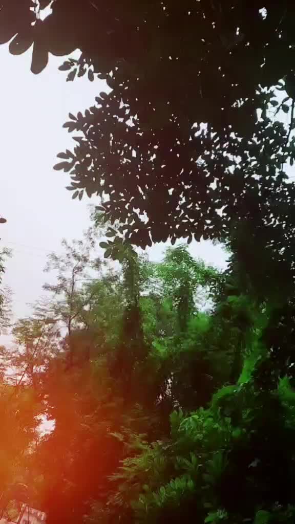 @Řïýá jâśmíńé Đā§❤