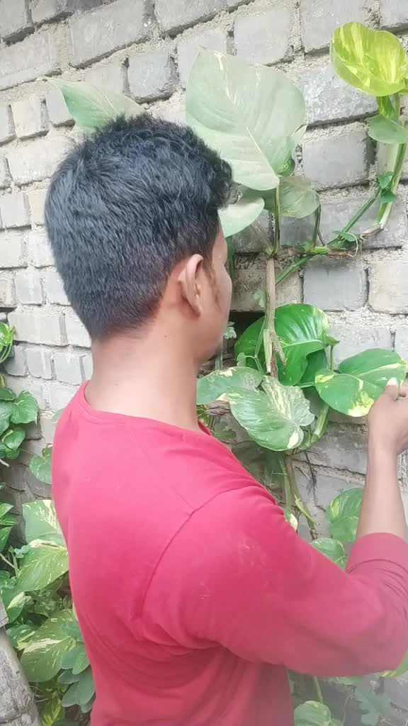 @Rajkumar