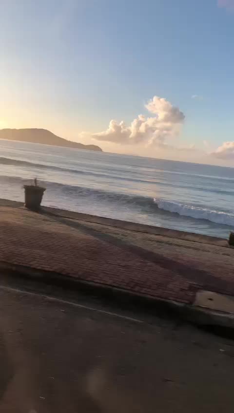 @floravitoreli