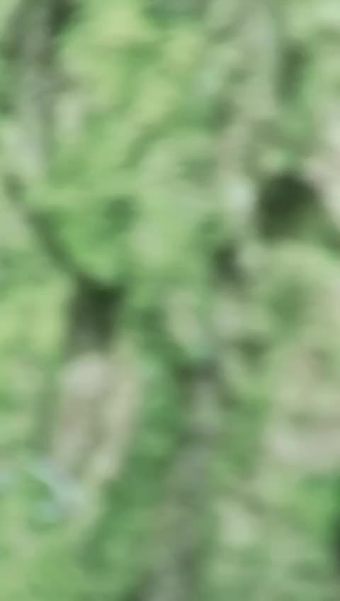 @Subhashree