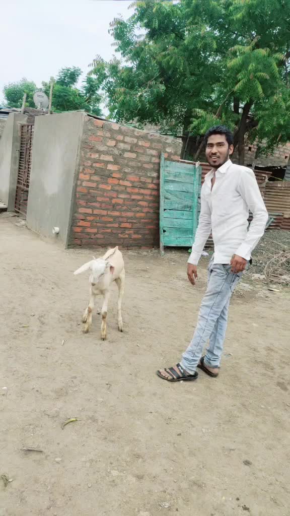 @shaikhmukhed1902