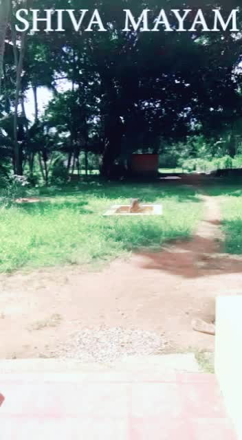 @shivan potti