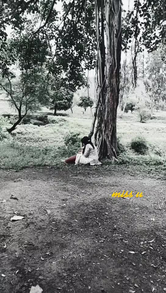 @sakpal0529
